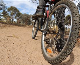 Tamma Parkland - Accommodation Rockhampton 1