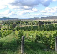 Sassy Wines - Accommodation Rockhampton