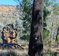 Eualdrie walking track - Accommodation Rockhampton