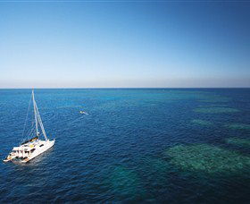 Bait Reef And Garys Lagoon Dive Site - Accommodation Rockhampton 0