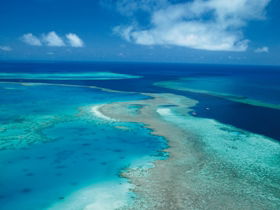 Fairey Reef - Accommodation Rockhampton 2