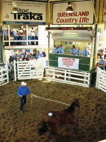 Gracemere Exhibition Complex - Accommodation Rockhampton 0