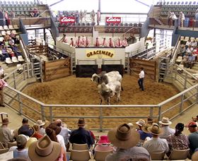 Gracemere Exhibition Complex - Accommodation Rockhampton 1