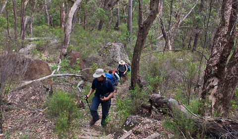 Yulludunida Walking Track - Accommodation Rockhampton 3