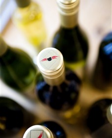 Charles Sturt University Winery Wagga Wagga - Accommodation Rockhampton 2