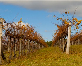 Charles Sturt University Winery Wagga Wagga - Accommodation Rockhampton 3