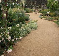 Perennialle Plants Nursery and Garden - Accommodation Rockhampton