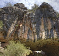 Borenore Karst Conservation Reserve - Accommodation Rockhampton