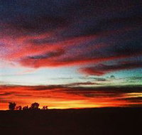 Springview Eco-Farm - Accommodation Rockhampton