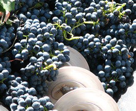 Orange Mountain Wines - Accommodation Rockhampton 2