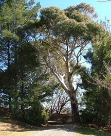 Habitat Vineyard - Accommodation Rockhampton 1
