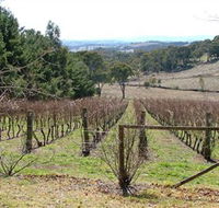 Habitat Vineyard - Accommodation Rockhampton