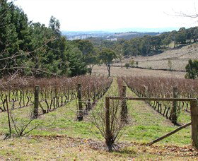 Habitat Vineyard - Accommodation Rockhampton 0