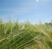 150 Degrees East Meridian - Accommodation Rockhampton