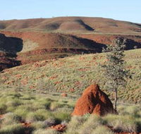 Camel Trail Millstream-Chichester National Park - Accommodation Rockhampton