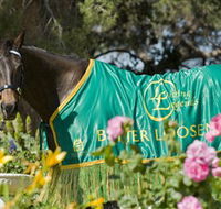 Living Legends The International Home of Rest for Champion Horses - Accommodation Rockhampton