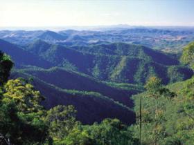 Kroombit Tops National Park - Accommodation Rockhampton 0