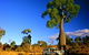 Kroombit Tops National Park - thumb 1