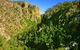 Kroombit Tops National Park - thumb 2