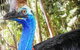 Cooberrie Park Wildlife Sanctuary - thumb 1