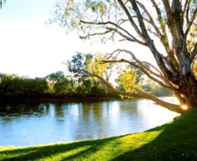 Albury - Murray River Precinct - Accommodation Rockhampton 0
