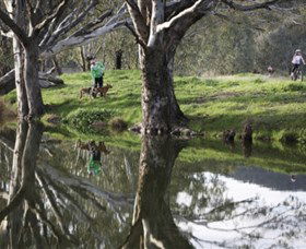 Albury - Murray River Precinct - Accommodation Rockhampton 3