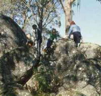 Mount Samaria State Park - Accommodation Rockhampton
