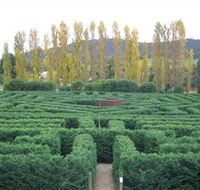 Brookfield Maze - Accommodation Rockhampton