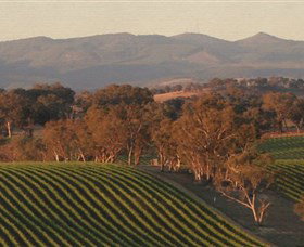 Angullong Wines - Accommodation Rockhampton 0