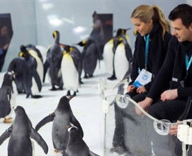 SEA LIFE Melbourne Aquarium - Accommodation Rockhampton 2