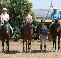 Forest Park Riding and Equitation School - Accommodation Rockhampton