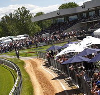 Thoroughbred Park Canberra Racing Club - Horse Racing in the Nations Capital - Accommodation Rockhampton