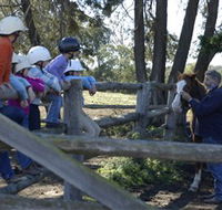 Harlow Park Horse Riding - Accommodation Rockhampton