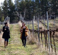 Mount Majura Vineyard - Accommodation Rockhampton