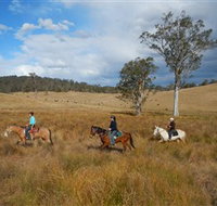 Chapman Valley Horse Riding - Accommodation Rockhampton