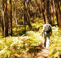 Federal Pass - Accommodation Rockhampton