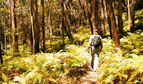 Federal Pass - Accommodation Rockhampton 0