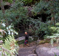 Leura Cascades Fern Bower - Accommodation Rockhampton