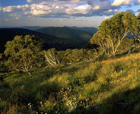 Namadgi National Park And Visitors Centre - Accommodation Rockhampton 2