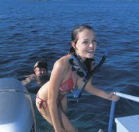 Seal Cove - Accommodation Rockhampton