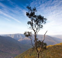 Salisbury Waters walking track - Accommodation Rockhampton