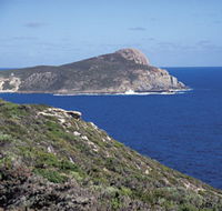 Bald Head Walking Track - Accommodation Rockhampton