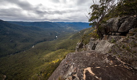 Mann River Nature Reserve - Accommodation Rockhampton 2
