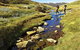 Australian Alps Walking Track - thumb 0