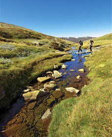 Australian Alps Walking Track - Accommodation Rockhampton 0