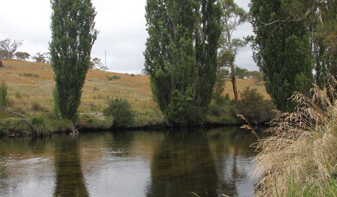 Thredbo River Picnic Area - Accommodation Rockhampton 3