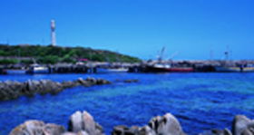 King Island Dairies - Accommodation Rockhampton 0