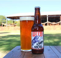 Feral Brewing Company - Accommodation Rockhampton