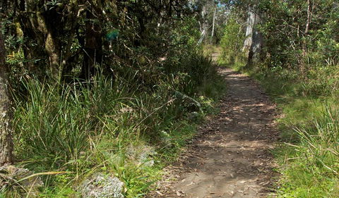 Devils Hole Lookout Walk And Picnic Area - Accommodation Rockhampton 2