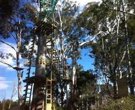 Trees Adventure Grose River Park - Accommodation Rockhampton 1